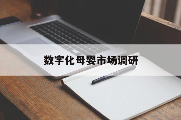 南阳市数字化母婴市场调研(数字化母婴市场调研报告)