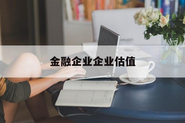 南阳市金融企业企业估值(最新企业估值怎么填)